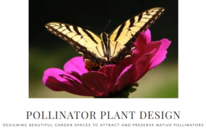 Pollinator Plant Design "Designing Beautiful Garden Spaces to Attract and Preserve Native Pollinators" with butterfly on flower